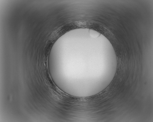 X0000052540702200507010819
