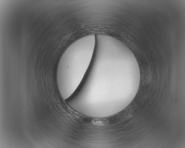 X0000052540706200507010819