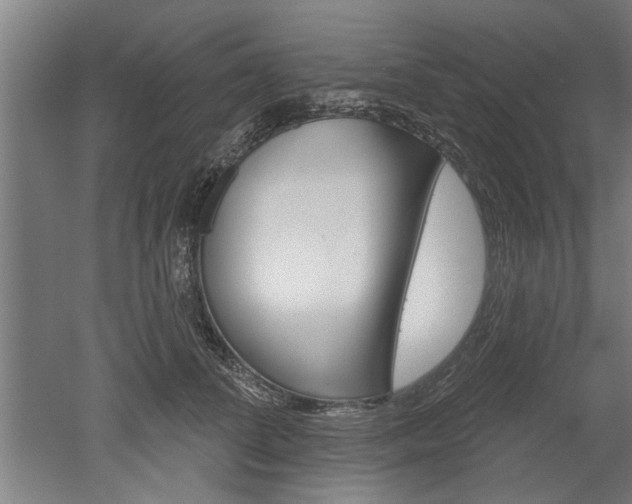 X0000052540708200507010819