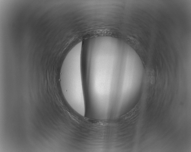 X0000052540712200507010819