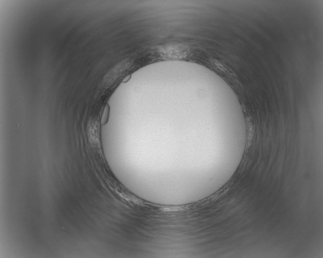 X0000052540713200507010819