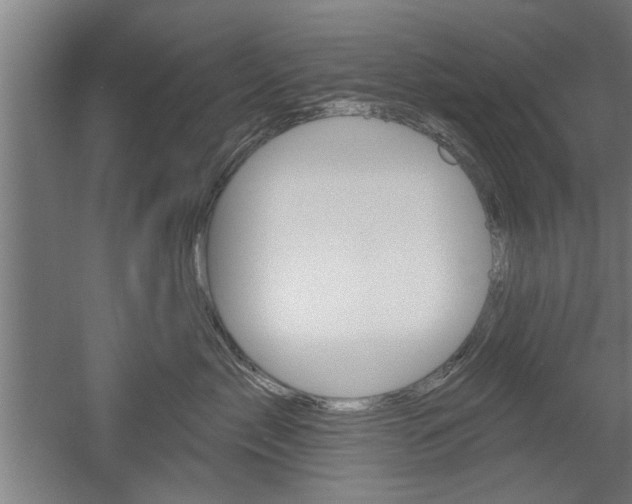 X0000052540717200507010819