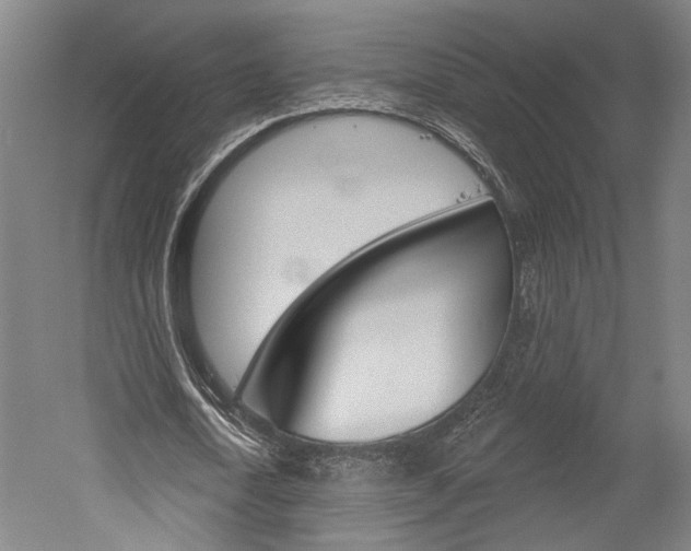 X0000052540722200507010818