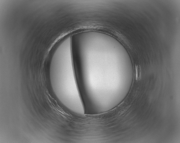 X0000052540723200507010818
