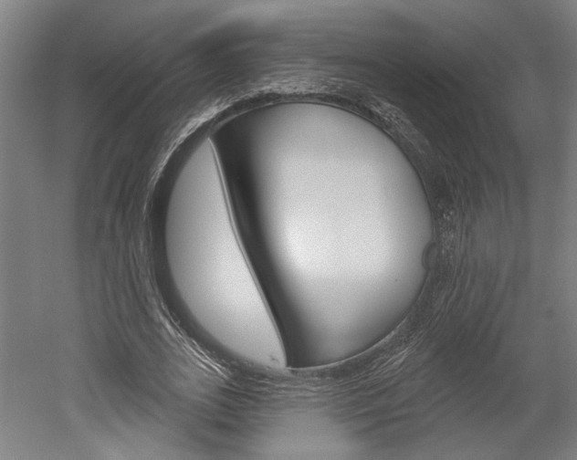 X0000052540727200507010818