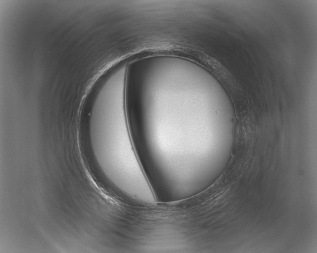 X0000052540728200507010818