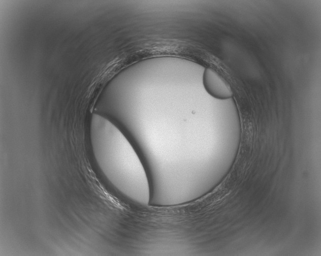 X0000052540729200507010818