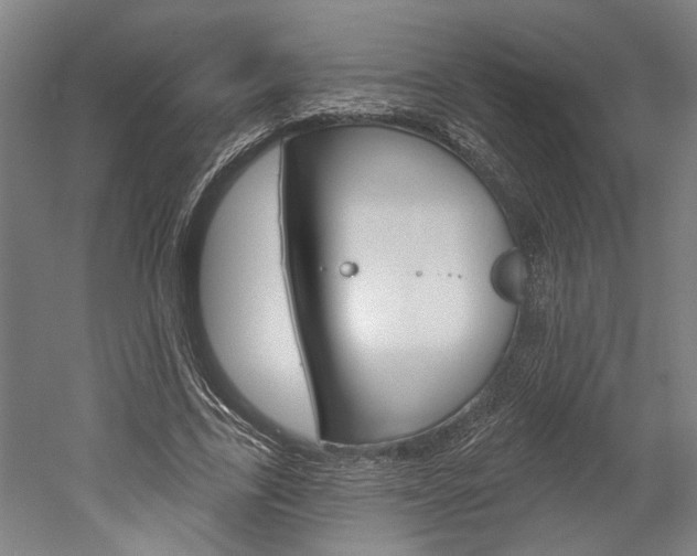 X0000052540731200507010818