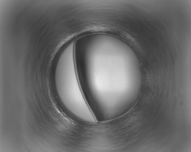 X0000052540732200507010818