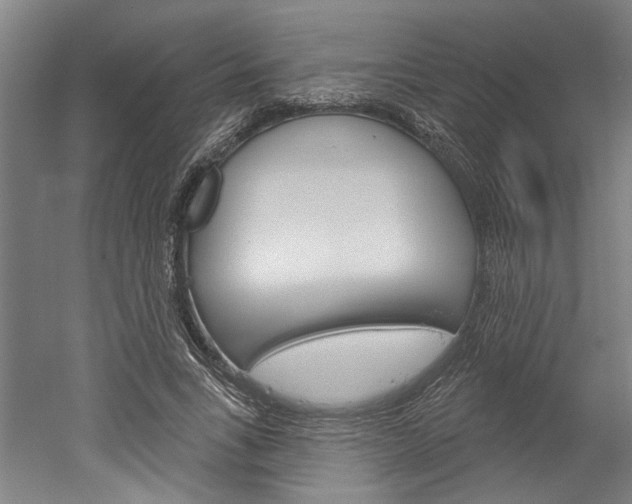 X0000052540735200507010818