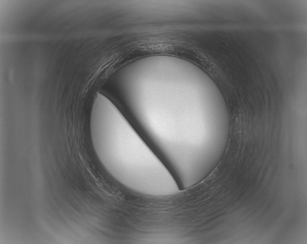 X0000052540739200507010818