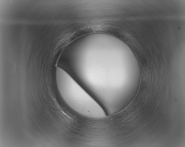 X0000052540740200507010818