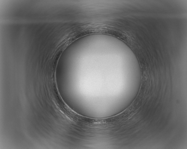 X0000052540744200507010818