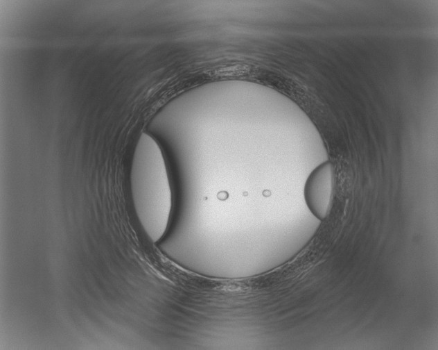 X0000052540745200507010818