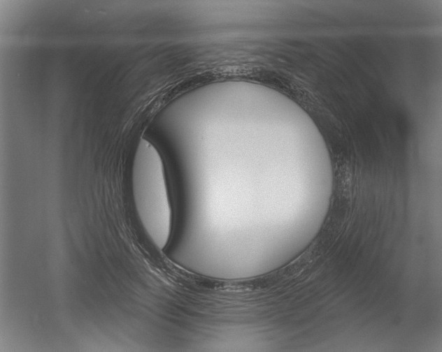X0000052540746200507010818