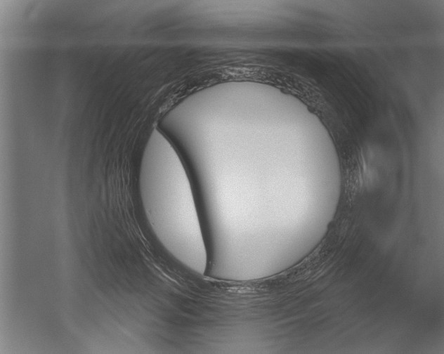 X0000052540749200507010818
