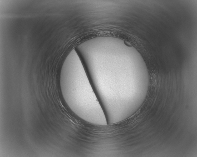 X0000052540753200507010818