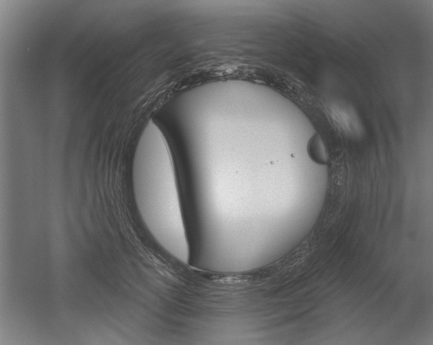 X0000052540754200507010818