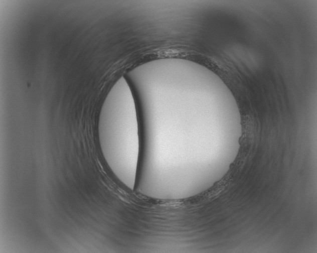 X0000052540761200507010819
