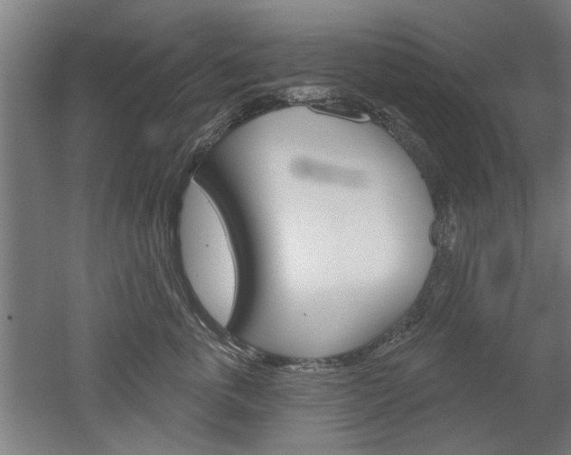 X0000052540763200507010819