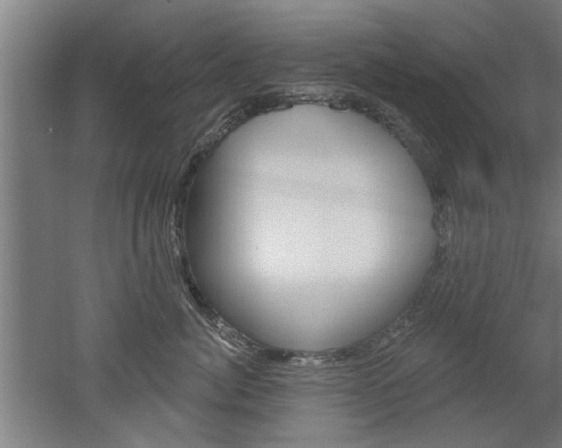 X0000052540764200507010819