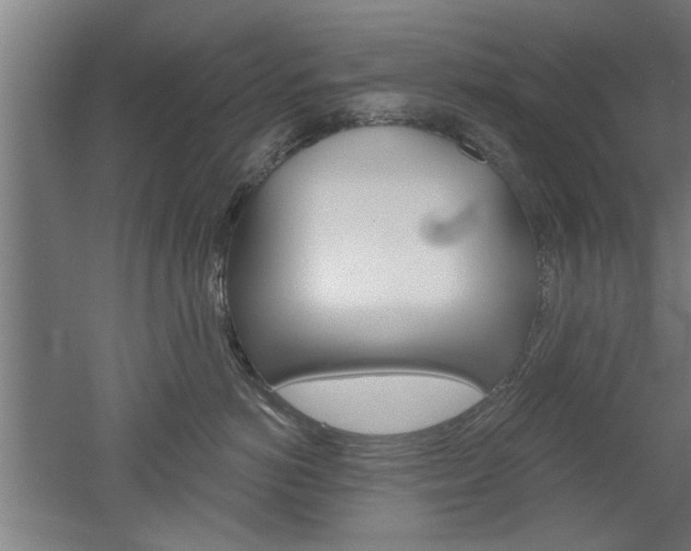 X0000052540766200507010819