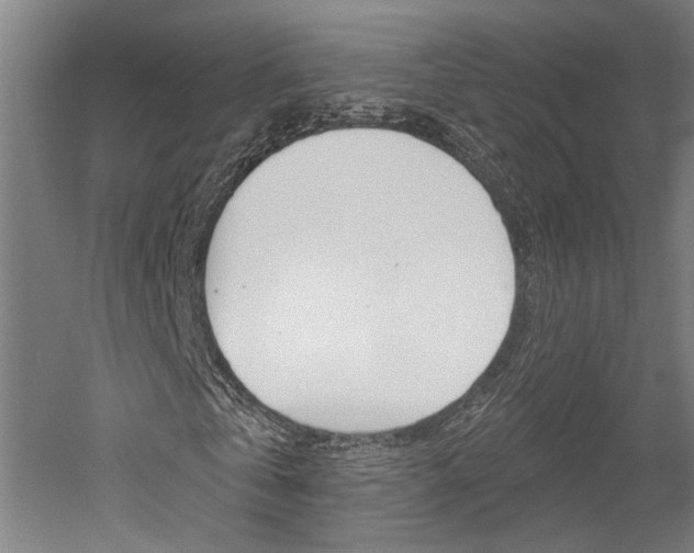 X0000052540769200507010818