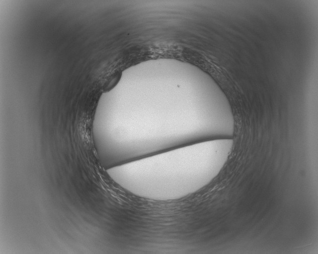 X0000052540770200507010818