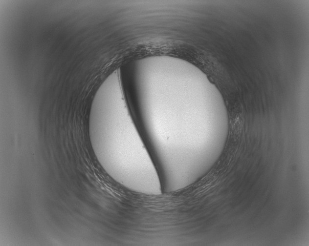 X0000052540772200507010818