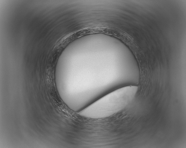 X0000052540773200507010818