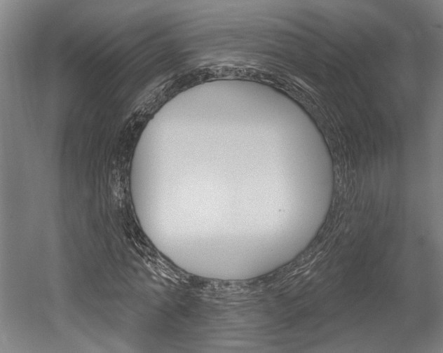 X0000052540774200507010818