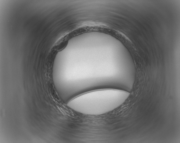 X0000052540775200507010818