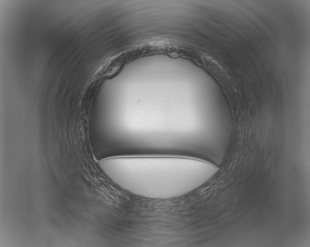 X0000052540776200507010818