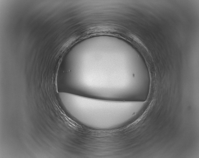 X0000052540777200507010818