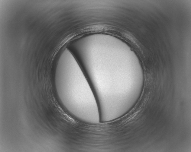 X0000052540778200507010818