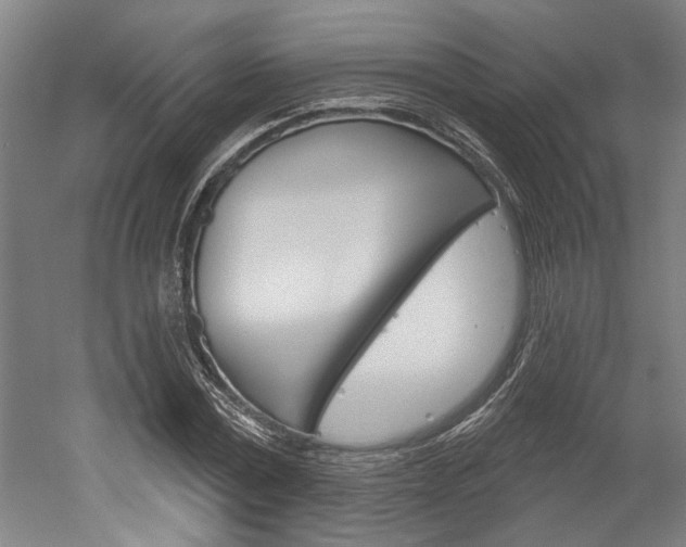 X0000052540779200507010818
