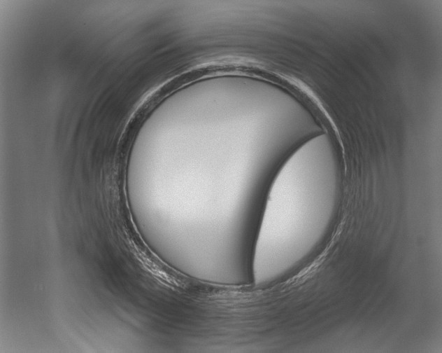 X0000052540783200507010818