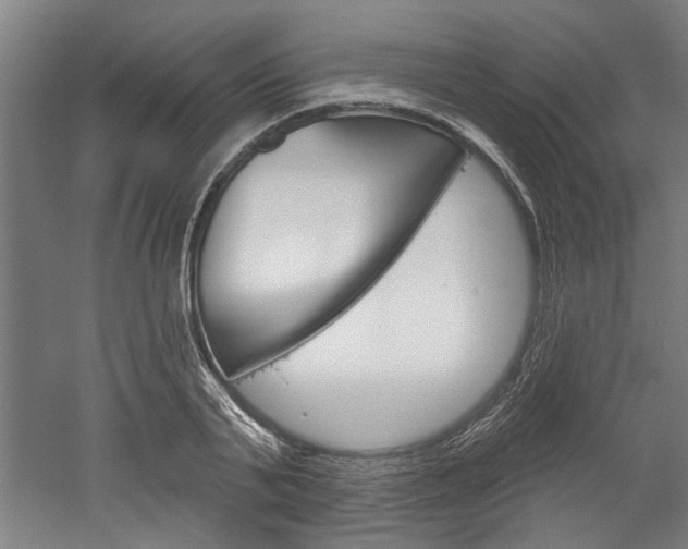 X0000052540791200507010817