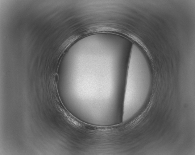 X0000052540793200507010817