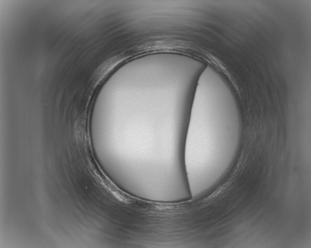 X0000052540794200507010817