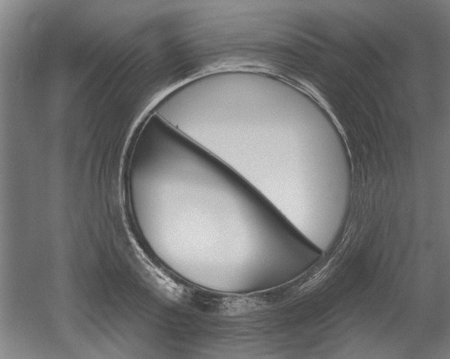 X0000052540795200507010817