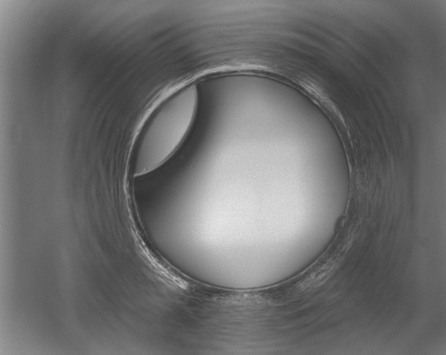 X0000052540797200507010817