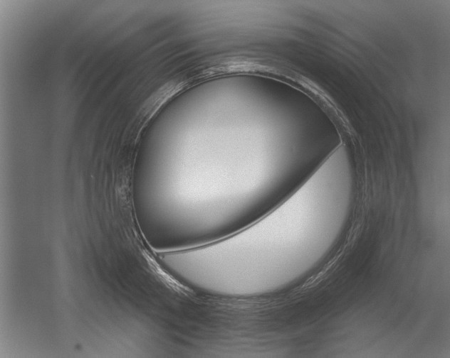 X0000052540801200507010817