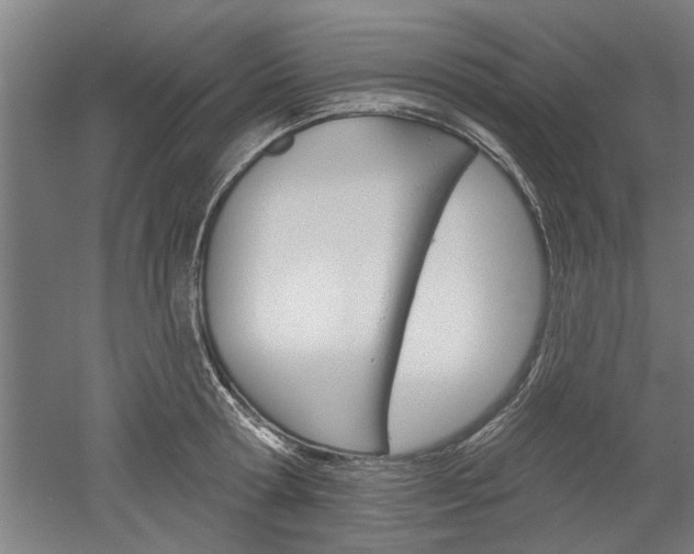 X0000052540802200507010817