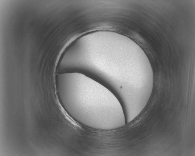 X0000052540808200507010817