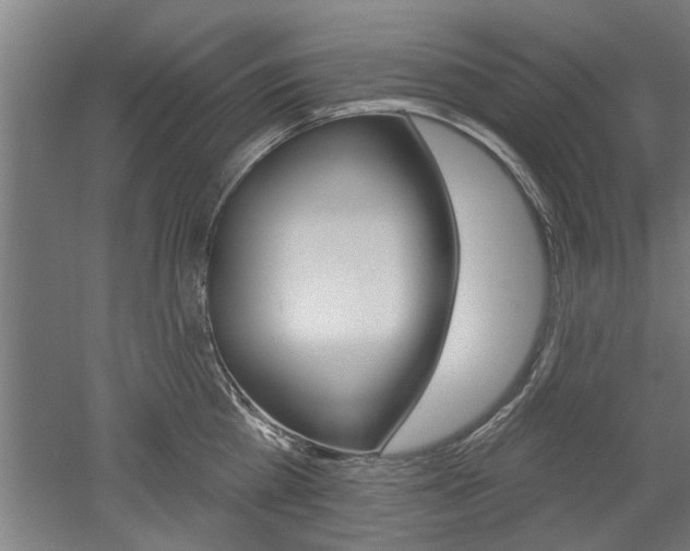 X0000052540809200507010817