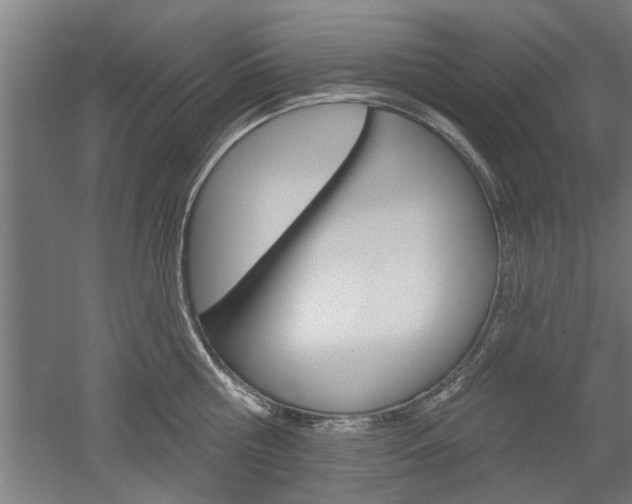 X0000052540810200507010817