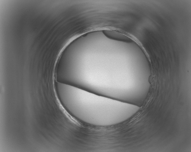 X0000052540811200507010817