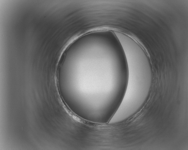 X0000052540813200507010817