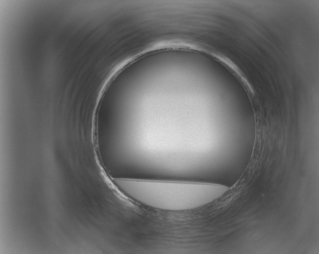 X0000052540815200507010817